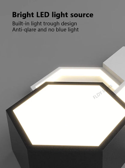 Liox Minimalist Dimmable Ceiling Light