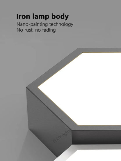 Liox Minimalist Dimmable Ceiling Light